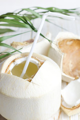 Young coconut on white wooden background. © devmarya