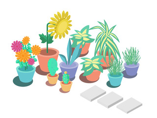 Colorful isometric garden ornamental flower plants