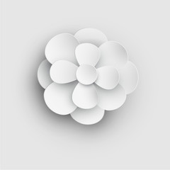 White isolated 3d flower template.