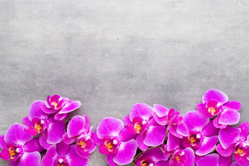 Beauty orchid on a gray background. Spa scene.