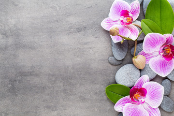 Obraz na płótnie Canvas Beauty orchid on a gray background. Spa scene.