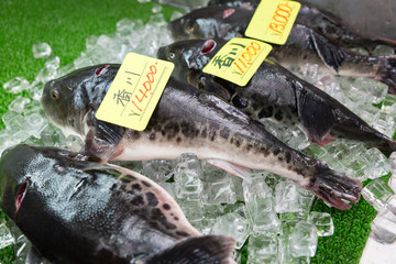 冬の味覚 ふぐ -大阪の台所 黒門市場- © photojapan