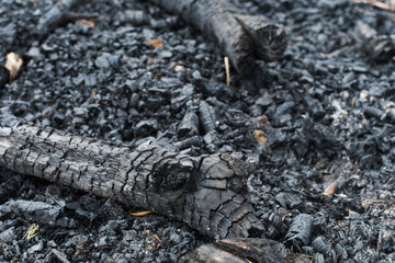 coals left after a fire