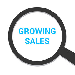 Finance Concept: Magnifying Optical Glass With Words Growing Sales