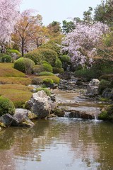 Fototapeta na wymiar 春の日本庭園