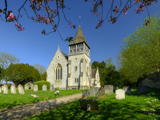 Afternoon sunlight and spring flowers in a view of St Peters Church, Ovingtion, Hampshire, UK