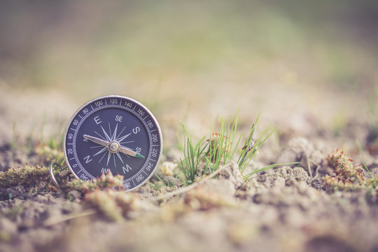 Kompass am Boden, Erde, Gras und Bäume, Textfreiraum