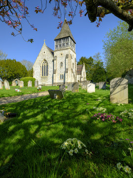Afternoon sunlight and spring flowers in a view of St Peters Church, Ovingtion, Hampshire, UK