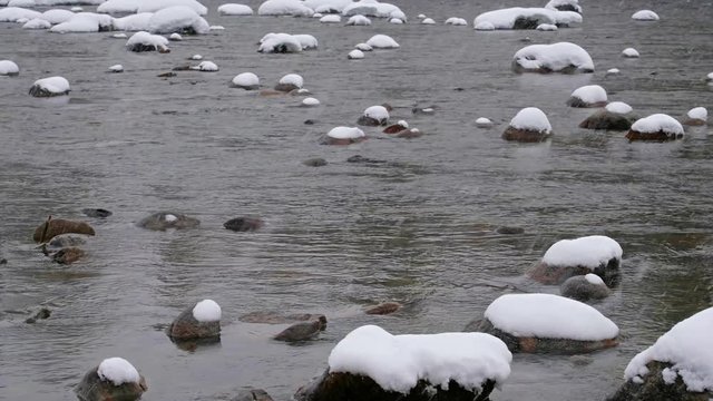 Stones with snow caps in the water of Altai Biya river under heavy snow in winter season