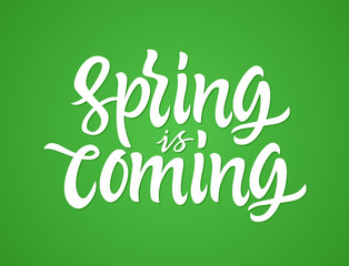 Spring Is Coming - vector hand drawn brush pen lettering