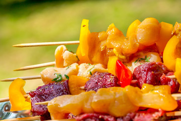 Raw chicken and beef skewers resting on a tray with a green background