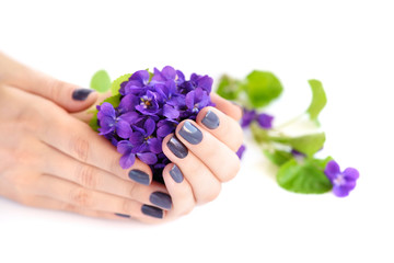 Hands of a woman with dark manicure on nails and bouquet of violets on a white background