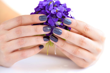 Hands of a woman with dark manicure on nails and bouquet of violets on a white background