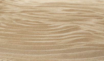 Sand dune desert background and texture