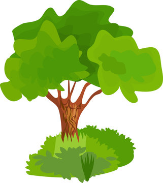 Cartoon tree with green crown and grass near the trunk on white background