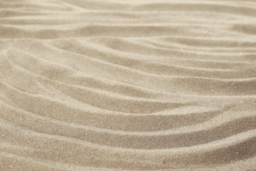 Fototapeta na wymiar Sand dune desert background and texture