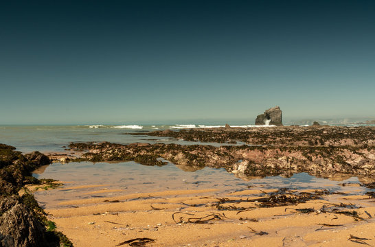 Sunny Seaside Scene
