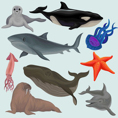 Collection of sea animals, marine fish and creatures walrus, squid, jellyfish, whale, killer, tortoise, seal, starfish vector Illustrations