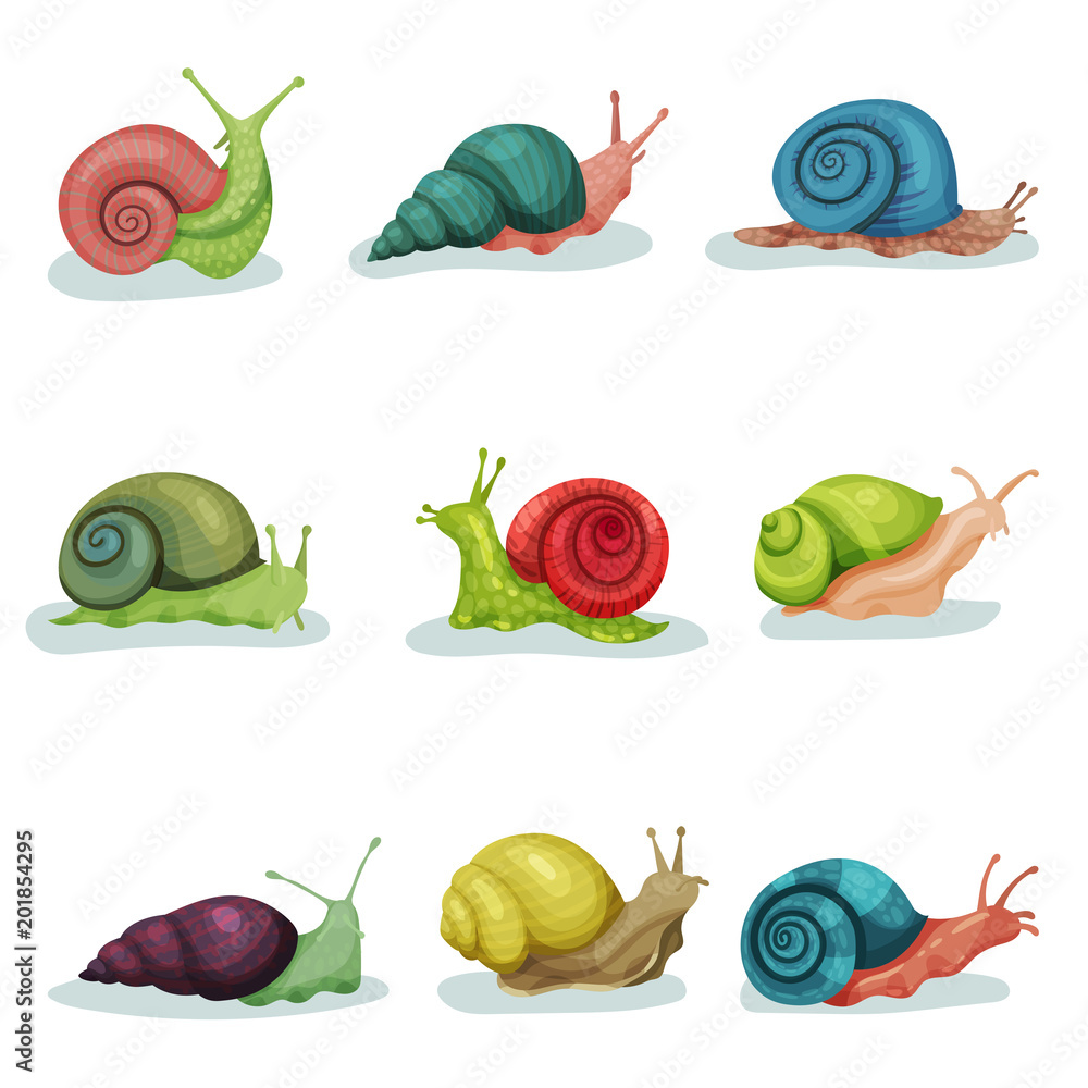 Poster collection of snails of different shell colours vector illustrations isolated on a white background