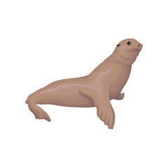 Sea lion animal vector Illustration on a white background