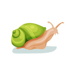 Snail gastropod mollusk with green shell vector Illustration on a white background