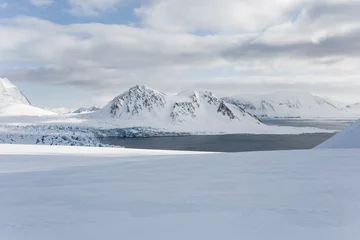 Fotobehang Wiosna w Arktyce © blackspeed