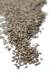 Linen seeds on white background Semillas de lino e fondo blanco
