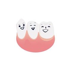 Healthy and clean tooth characters in pink gum smiling and happy. Isolated cute cartoon white joyful teeth for dental health and oral care concept. Vector illustration.