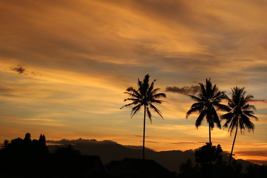 Beautiful Orange Sunset landscape with palm trees