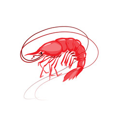 Shrimp vector illustration. Isolated object on white background. Seafood product, restaurant menu. Hand drawn painting.