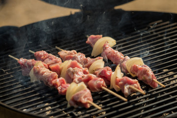 Delicious meat skewers on the hot grill