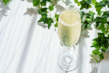 テラス シャンパン