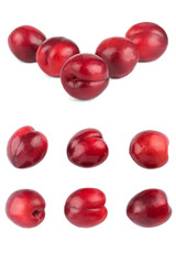 Isolated plums. Collection of whole red plum fruits isolated on white background.