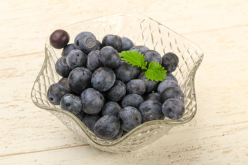 Blueberry
