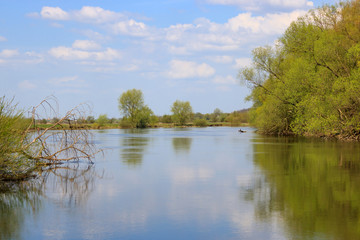 River on a sunny spring day against a blue sky. Natural landscape