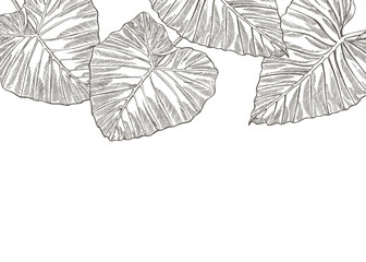 Summer tropical leaves vector design. Floral background illustration. Invitation or card design with jungle leaves.