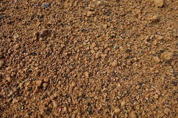 赤土クローズアップ