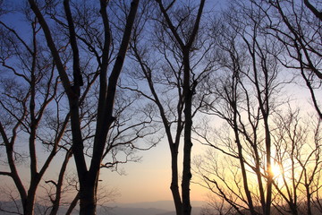 田沢湖と夕日　黒森山展望台　白樺