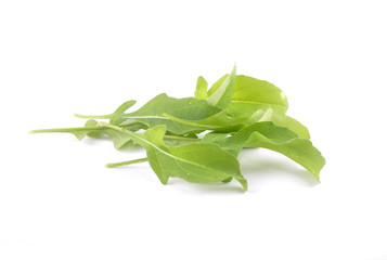 Rucola auf weiss