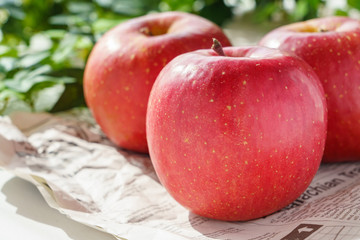 リンゴ りんご 果物 食材