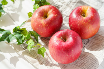 リンゴ りんご 果物 食材