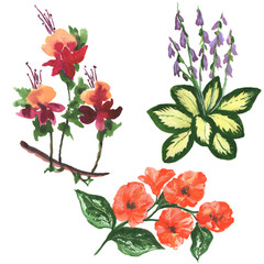 Multicolored wildflowers in the style of watercolors. You can use it for greeting cards, congratulations, for fabric, wrappers.