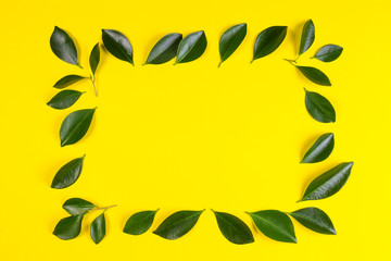 Green tree leaves frame with yellow background