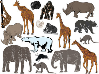 collection of seventeen isolated color animals