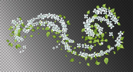 White Flying Flowers