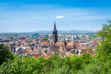 cathedral in Freiburg - obrazy, fototapety, plakaty