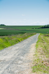 畑の中の砂利道