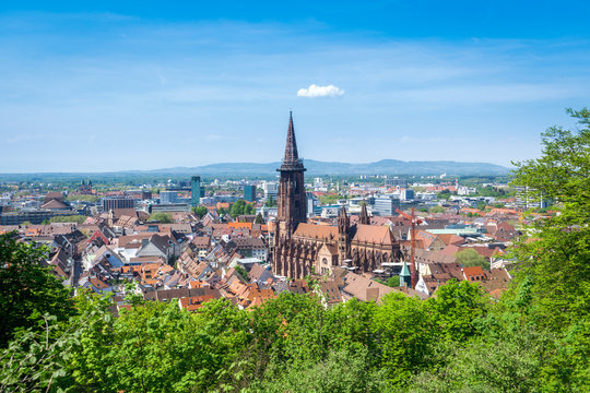 cathedral in Freiburg