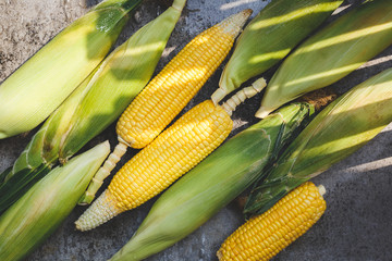 Fresh corns from Vietnam