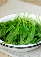 Bright fresh leaves of sorrel in a bowl of water. Rustic style.